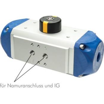 Pneumatic driven rotary actuators